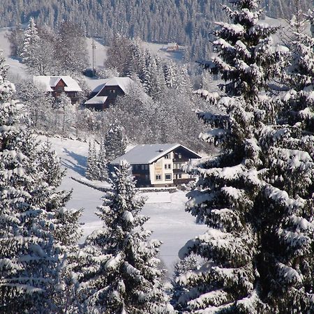 Cozy Apartment In Afritz Am See Near Gerlitzen Ski Area エクステリア 写真